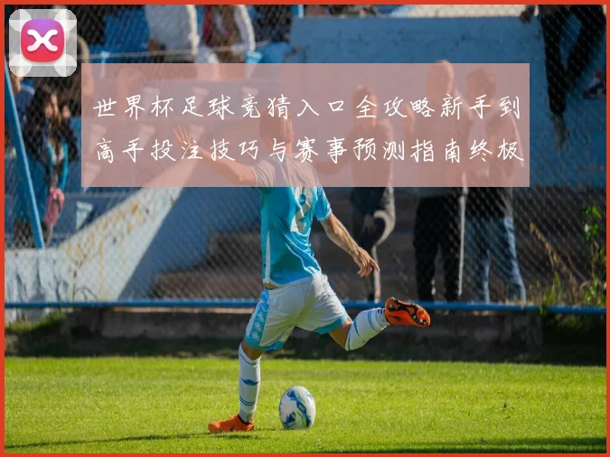 世界杯足球竞猜入口全攻略新手到高手投注技巧与赛事预测指南终极