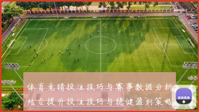 体育竞猜投注技巧与赛事数据分析结合提升投注技巧与稳健盈利策略探索