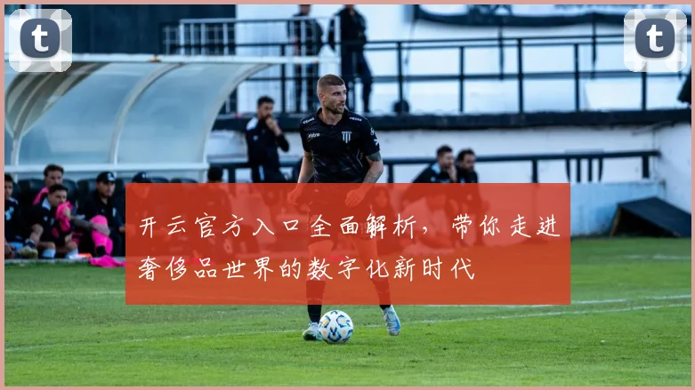 开云官方入口全面解析，带你走进奢侈品世界的数字化新时代