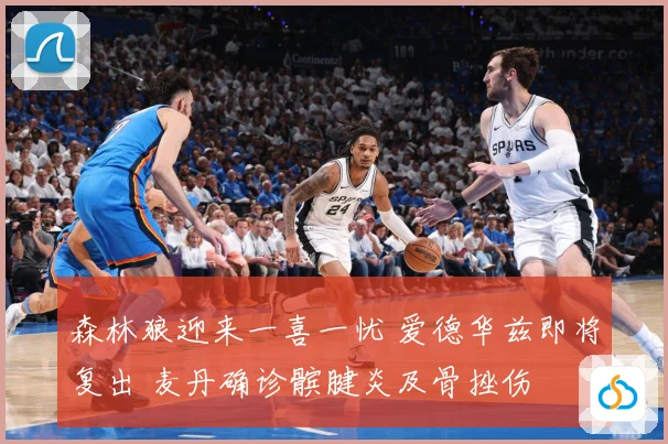 森林狼迎来一喜一忧 爱德华兹即将复出 麦丹确诊髌腱炎及骨挫伤